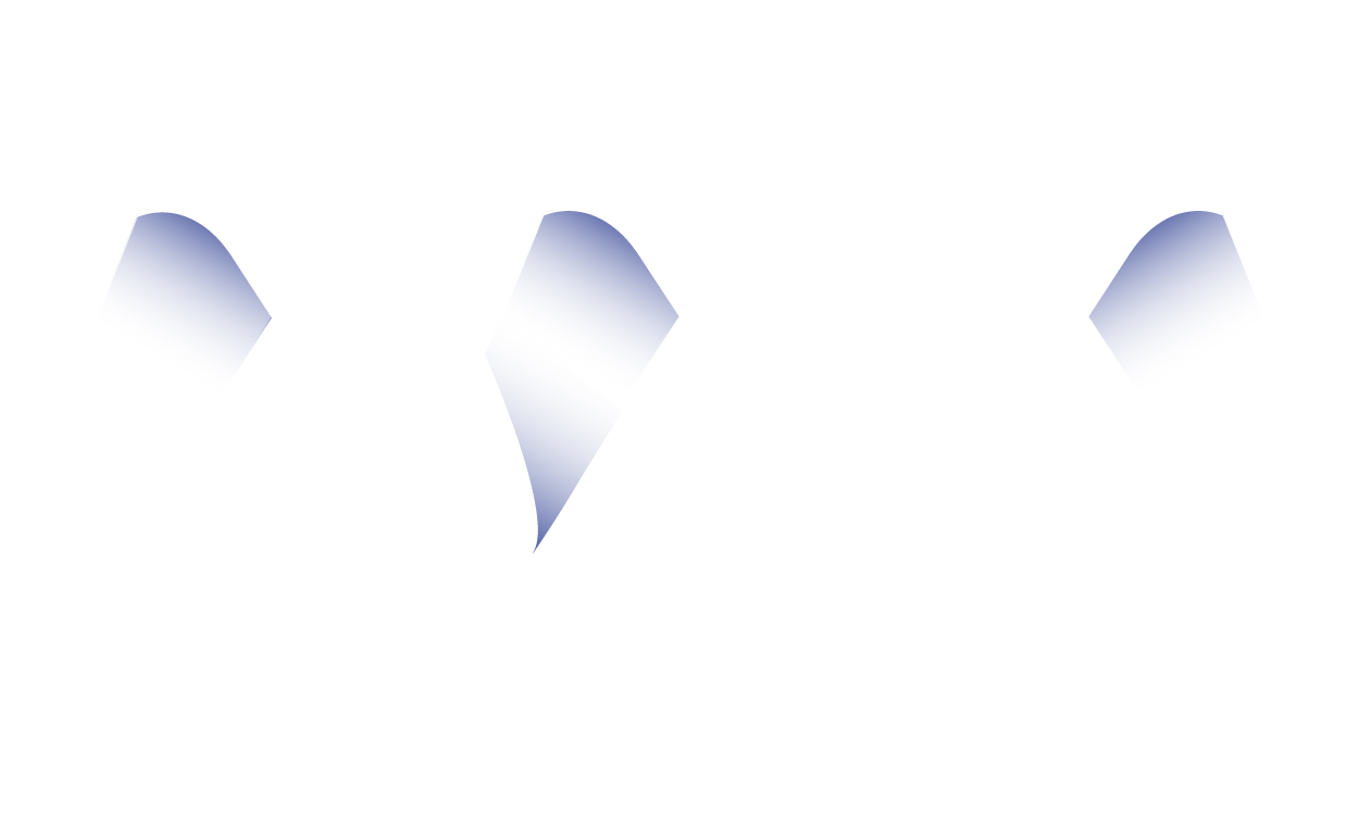 AiMMM_Logo_White