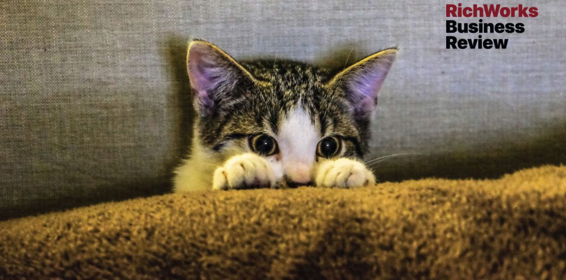 Mueeza Dikasihi Nabi SAW, 5 Fakta Berkaitan Kucing
