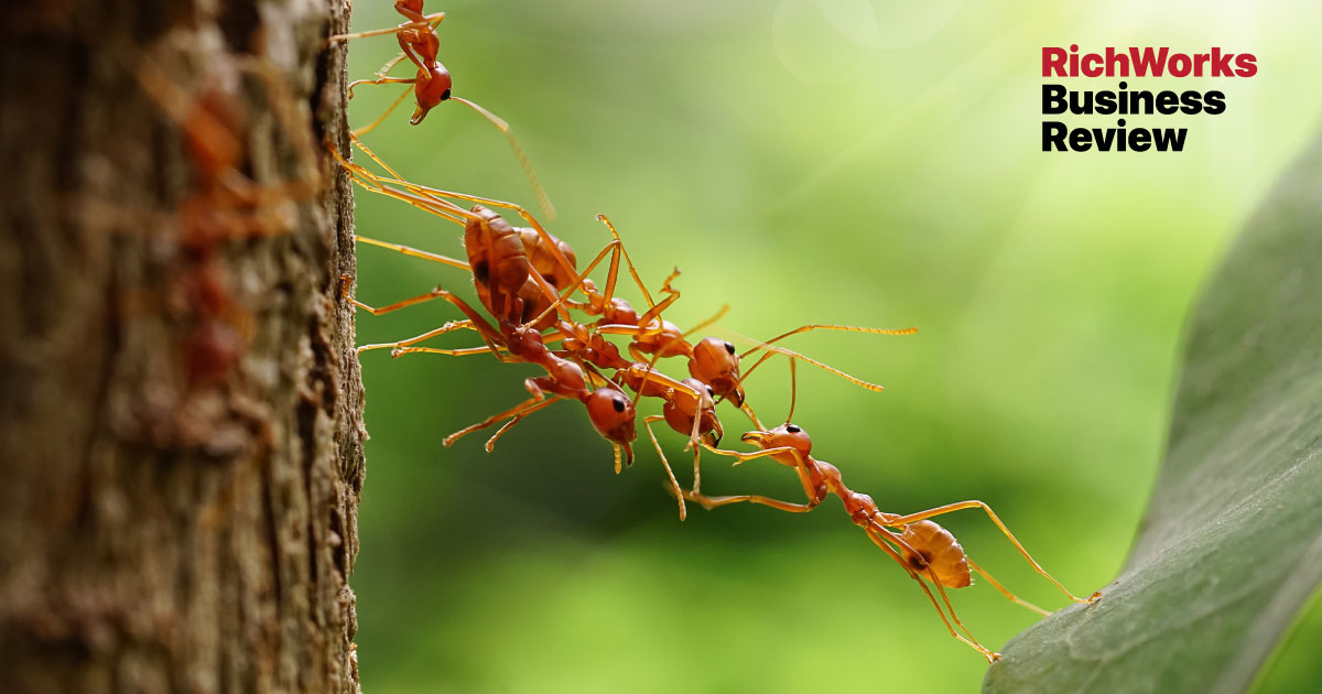 Tanpa Team Kuat, Bisnes Sukar Maju