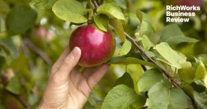 5 Manfaat 'Low Hanging Fruits' Dalam Bisnes