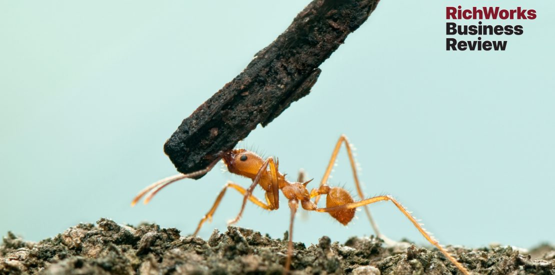10 Sifat Mulia Yang Boleh Kita Pelajari Daripada Seekor Semut
