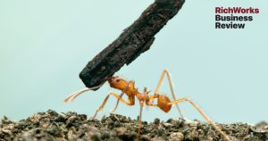 10 Sifat Mulia Yang Boleh Kita Pelajari Daripada Seekor Semut